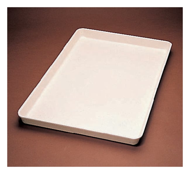 Thermo Fisher Scientific Safety Tray for Reagents