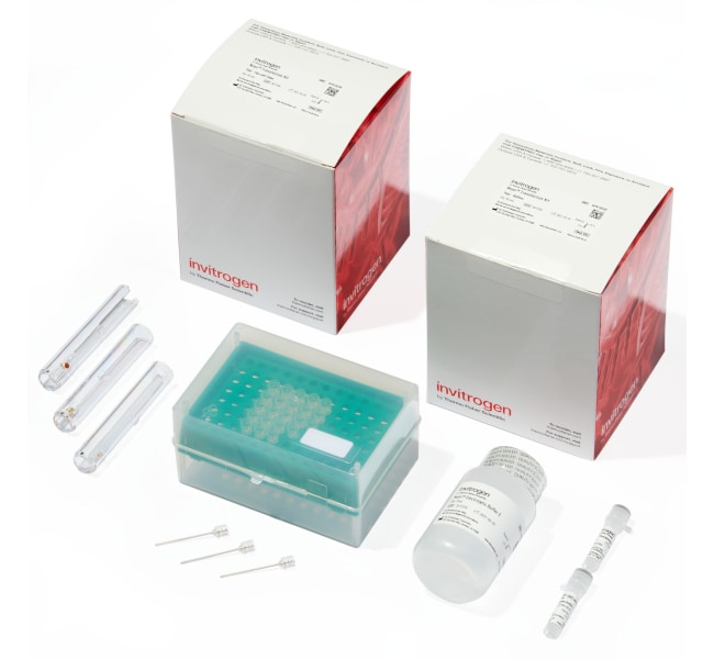 Thermo Fisher Scientific Neon Transfection System 10 &mu;L Kit, 25 x 2 Reactions