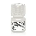 Thermo Fisher Scientific TaqMan 2.5X Lyo-Ready qPCR Master Mix, with excipient, 5 mL