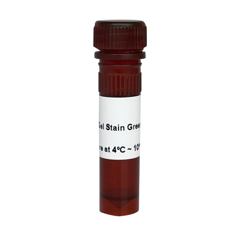 APBIO AP Nucleic Acid Gel Stain Green (20,000X)