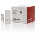 Thermo Fisher Scientific CellsDirect Resuspension & Lysis Buffers includes 10 ml Resuspension Buffer & 1 ml Lysis Buffer