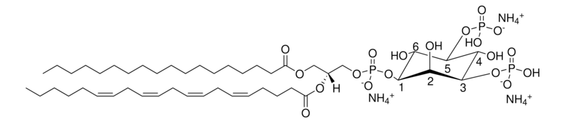 Merck 18:0-20:4 PI(3,5)P2