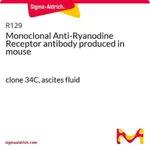 Merck Monoclonal Anti-Ryanodine Receptor antibody produced in mouse