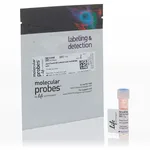 Thermo Fisher Scientific Alexa Fluor 405 NHS Ester (Succinimidyl Ester), 1 mg