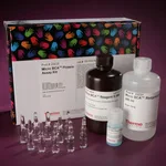 Thermo Fisher Scientific Micro BCA Protein Assay Kit