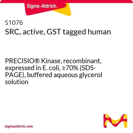 Merck SRC, active, GST tagged human