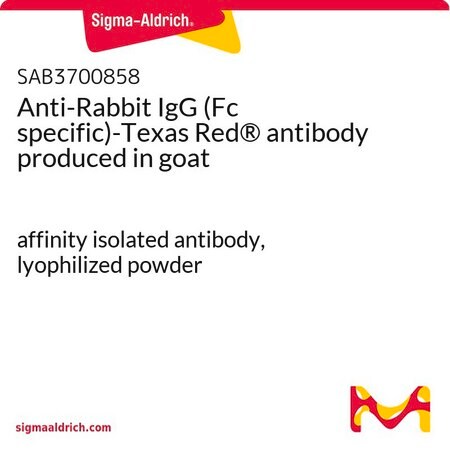 Merck Anti-Rabbit IgG (Fc specific)-Texas Red(R) antibody produced in goat