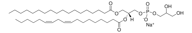 Merck 18:0-18:2 PG