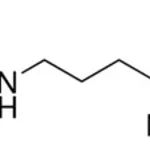 Merck L-CITRULLINE, UNITED STATES PHARMACOPEIA