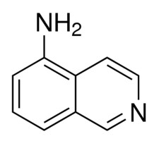 Merck 5-AMINOISOQUINOLINE, 99%