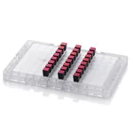 Thermo Fisher Scientific Axiom Asia Precision Medicine Research Array Kit, 24-format