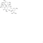 Merck DESOSAMINYLAZITHROMYCIN