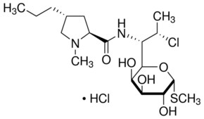 Merck CLINDAMYCIN HYDROCHLORIDE, LINCOSAMIDE A