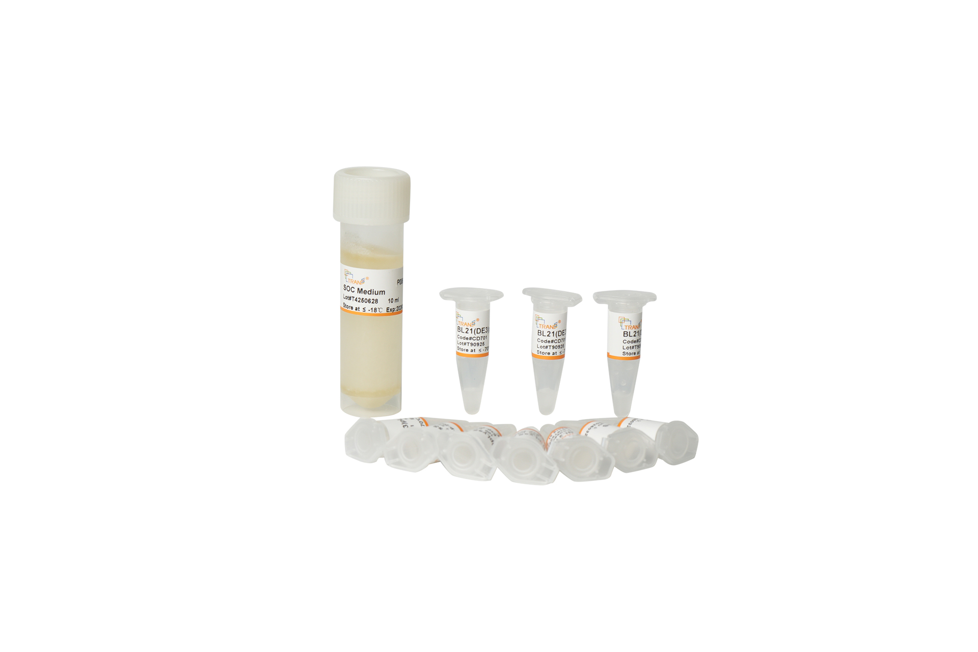 BL21(DE3) pLysS Chemically Competent Cell