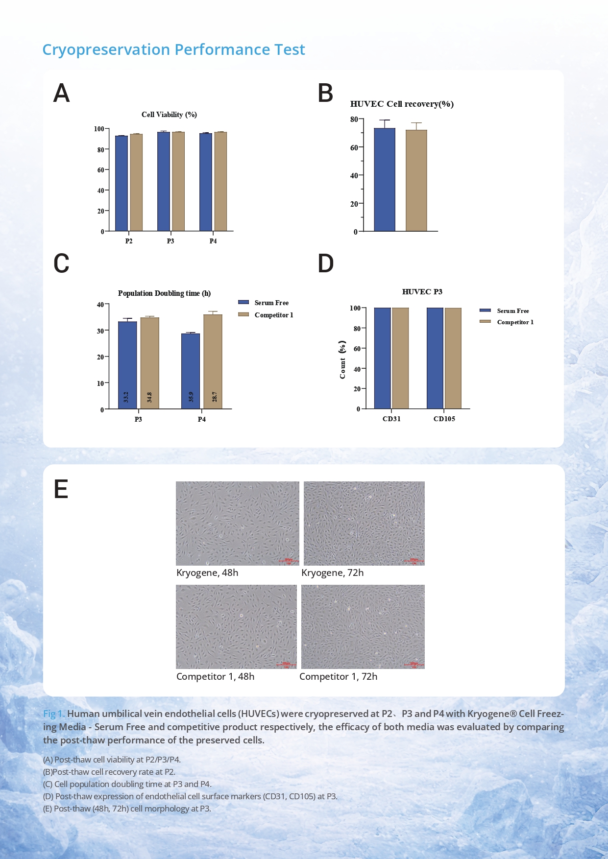 Kryogene Cell Freezing Media v2.0_page-0011.jpg
