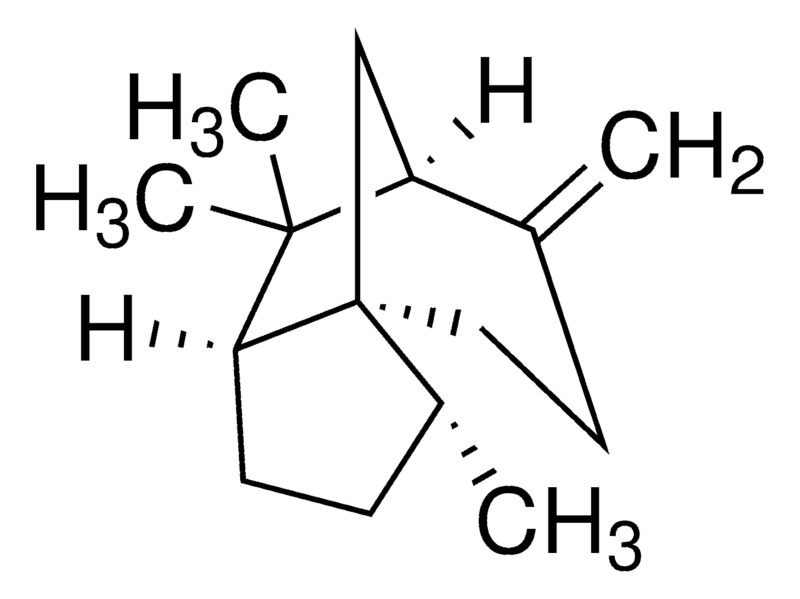 Merck (+)-beta-Cedrene