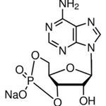 Merck ADENOSINE 3``:5``-CYCLIC MONOPHOSPHATE &