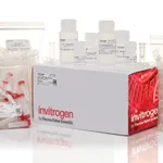 Thermo Fisher Scientific PureLink Microbiome DNA Purification Kit