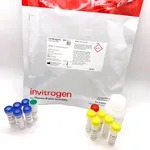 Thermo Fisher Scientific CyQUANT Cytotoxicity Assay Kit (G6PD Release Assay)