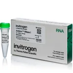 Thermo Fisher Scientific Ambion RNase I, cloned, 100 U/μL, 10,000 U