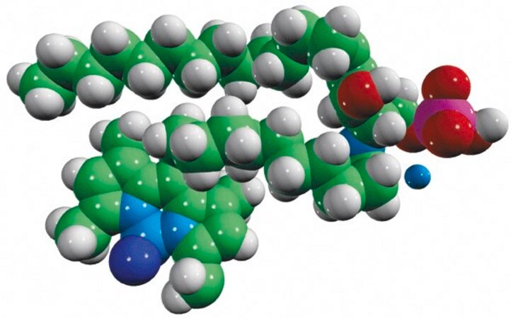 Merck C11 TopFluor(R) Ceramide-1-Phosphate