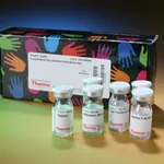 Thermo Fisher Scientific Glycoprotein Standards Set for Pierce Glycoprotein Carbohydrate Estimation Kit