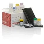 Thermo Fisher Scientific ProcartaPlex Mouse High Sensitivity Basic Kit