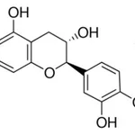 Merck (+-)-CATECHIN