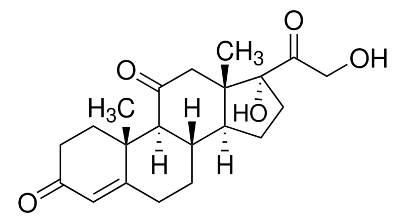 Merck Cortisone