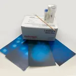 Thermo Fisher Scientific MycoFluor Mycoplasma Detection Kit