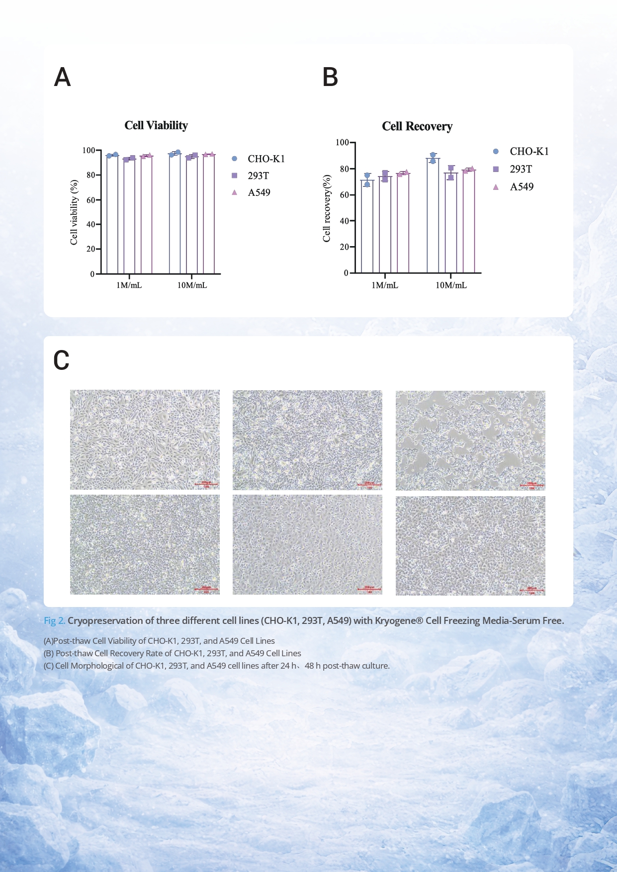 Kryogene Cell Freezing Media v2.0_page-0012.jpg