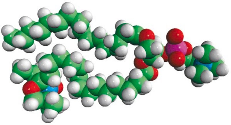 Merck 16:0-16 Doxyl PC