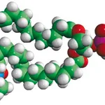 Merck 16:0-16 Doxyl PC