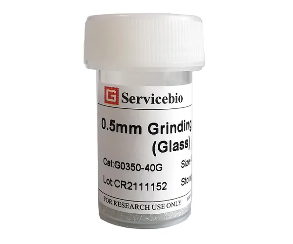 Servicebio Grinding Beads (Glass)