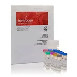 Thermo Fisher Scientific Amplex Red Monoamine Oxidase Assay Kit