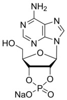Merck ADENOSINE 2``,3``-CYCLIC MONOPHOSPHATE&