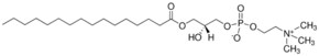 Merck L-A-LYSOPHOSPHATIDYLCHOLINE, PALMITOYL