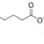 Merck L-A-LYSOPHOSPHATIDYLCHOLINE, PALMITOYL