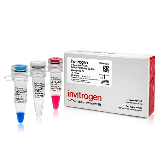 Thermo Fisher Scientific Collibri PCR-free ES DNA Library Prep, 24 preps