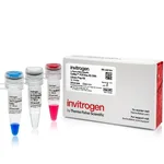 Thermo Fisher Scientific Collibri PCR-free ES DNA Library Prep, 24 preps