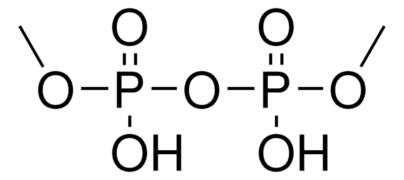 Merck DIMETHYL ACID PYROPHOSPHATE