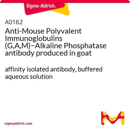 Merck Anti-Mouse Polyvalent Immunoglobulins (G,A,M)-Alkaline Phosphatase antibody produced in goat