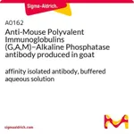 Merck Anti-Mouse Polyvalent Immunoglobulins (G,A,M)-Alkaline Phosphatase antibody produced in goat