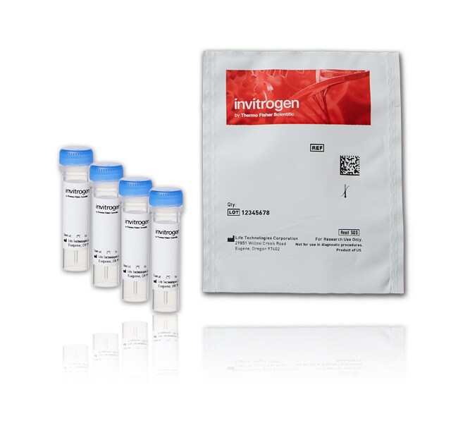 Thermo Fisher Scientific FluoSpheres Fluorescent Color Kit, Carboxylate-Modified Microspheres, 0.04 &mu;m, four colors, 1 mL/each