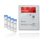 Thermo Fisher Scientific FluoSpheres Fluorescent Color Kit, Carboxylate-Modified Microspheres, 0.04 μm, four colors, 1 mL/each