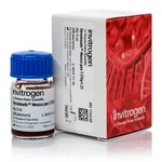 Thermo Fisher Scientific Dynabeads Mouse Pan T (Thy1.2)