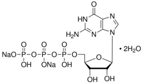 Merck GUANOSINE 5``-TRIPHOSPHATE SODIUM &