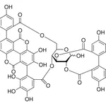 Merck Punicalagin