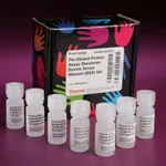 Thermo Fisher Scientific Pierce Bovine Serum Albumin Standard Pre-Diluted Set