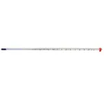Thermo Fisher Scientific Digi-Sense Precision Glass Thermometer, -1/51°C, Partial, 460mm